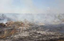 Incendiul care a cuprins pădurea de la marginea Cahulului a fost stins - agroexpert.md