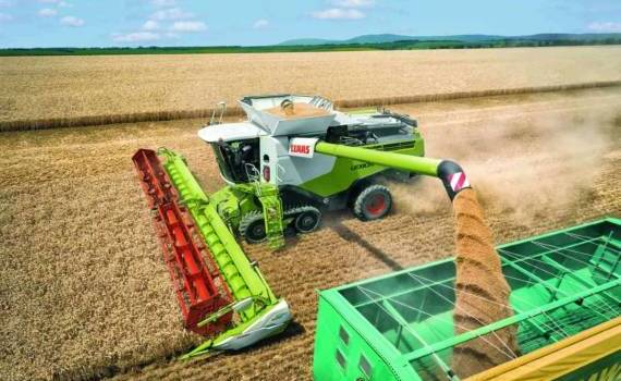 Во Франции прогнозируют снижение урожайности зерновых на 20% - agroexpert.md