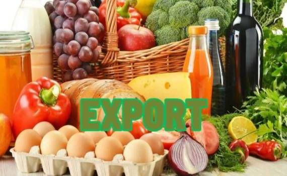 В структуре украинского экспорта лидером является продовольствие - agroexpert.md