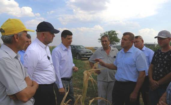 Concluziile autorităților, după vizita zonelor afectate de secetă - agroexpert.md