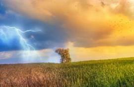 Погода, формирующая урожай сельхоз культур в разных регионах мира - agroexpert.md
