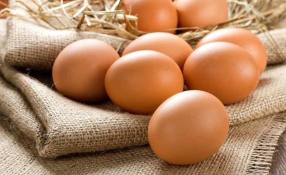 procurarea ouălor pe timp de caniculă ANSA - agroexpert.md