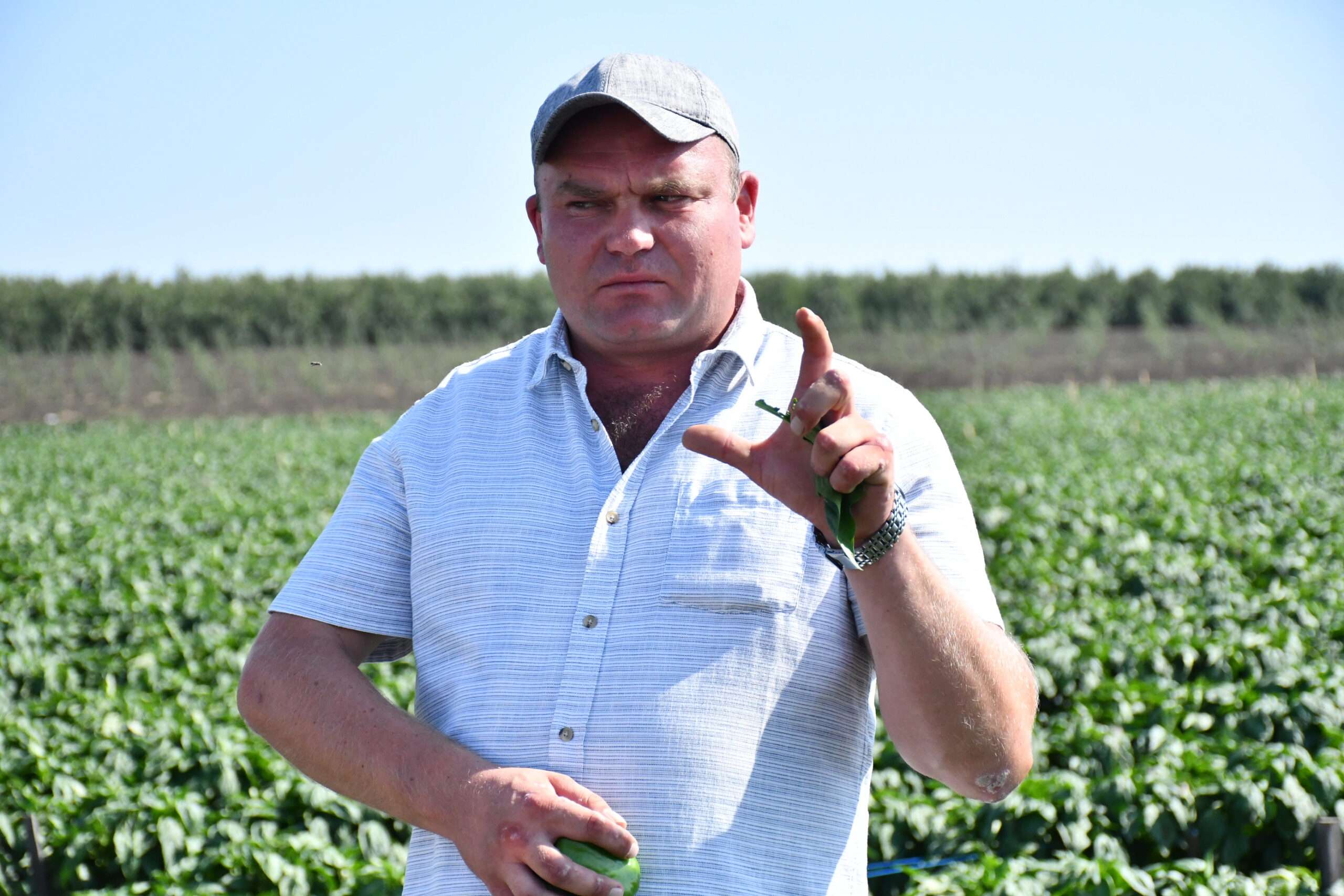 Pe drumul agriculturii din Cunicea. Afacerea familiei Fedorciuc - agroexpert.md