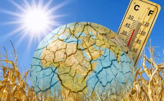 Климатологи зафиксировали самый жаркий день за всю историю наблюдений - agroexpert.md