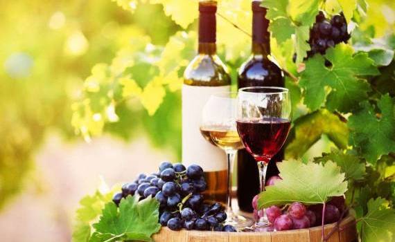 exporturile de vinuri moldovenești -agroexpert.md
