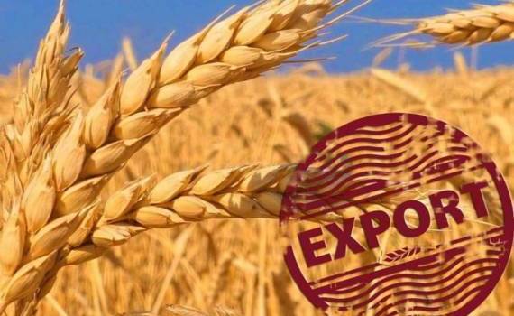 Китай в восемь раз увеличил закупки российской пшеницы - agroexpert.md