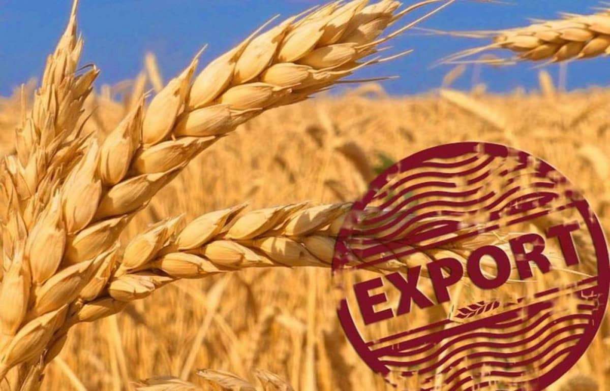 Китай в восемь раз увеличил закупки российской пшеницы - agroexpert.md