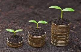 Expert: Agenții economici nu iau credite pentru dezvoltarea afacerilor