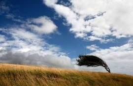 Alertă meteo: Vom avea parte de vânt puternic - agroexpert.md