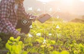 Admiterea la FȘASM: Tinerii se orientează spre specialitățile agricole