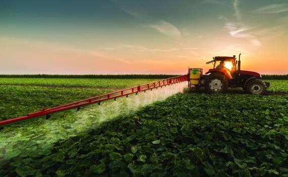 Ședința Centrului de Consiliere Agricolă și Rurală: Ce s-a discutat - agroexpert.md