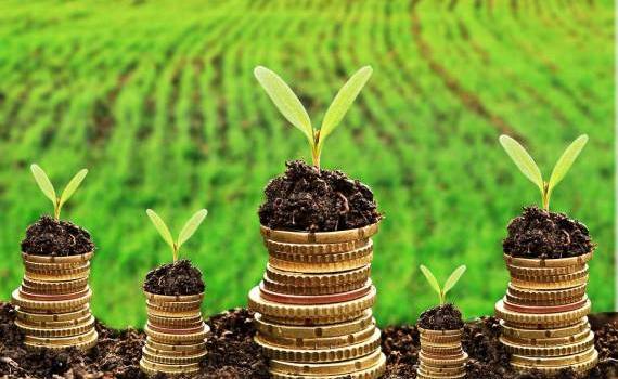 Subvenții în avans pentru proiecte de îmbunătățiri funciare - agroexpert.md