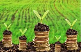 Subvenții în avans pentru proiecte de îmbunătățiri funciare - agroexpert.md