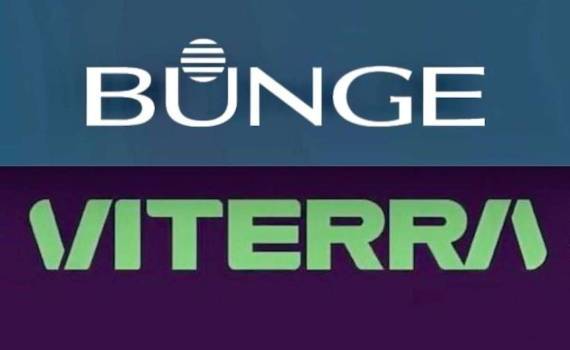 Bunge станет второй в мире компанией по торговле сельхозпродуктами - agroexpert.md