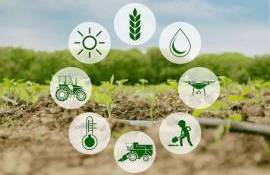 Rezultatele intermediare ale admiterii la specialitățile agricole - agroexpert.md