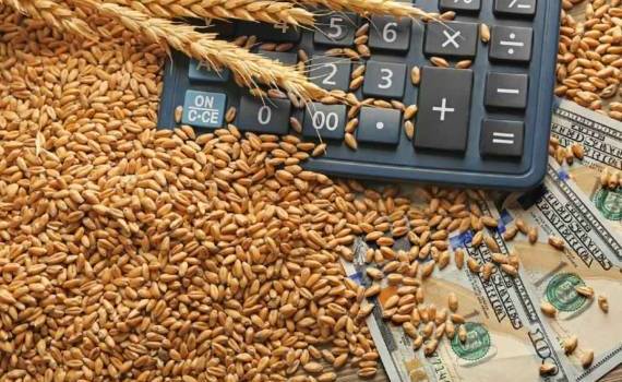 Мировые экспортные цены на зерновые снижаются второй месяц подряд — FAO - agroexpert.md
