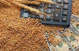 Мировые экспортные цены на зерновые снижаются второй месяц подряд — FAO - agroexpert.md