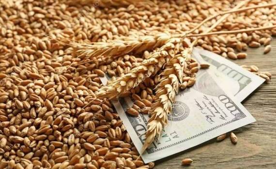 Пшеница в ЕС поддерживается высоким спросом и плохим урожаем во Франции - agroexpert.md