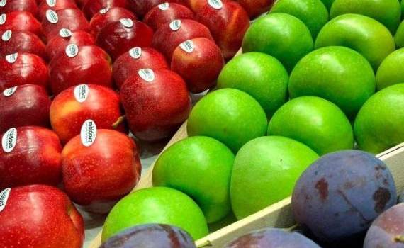 Fruit Logistica 2025: Doritorii de a participa se pot înscrie - agroexpert.md