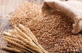 Как запрет Пакистана на импорт пшеницы повлияет на Черноморский рынок - agroexpert.md