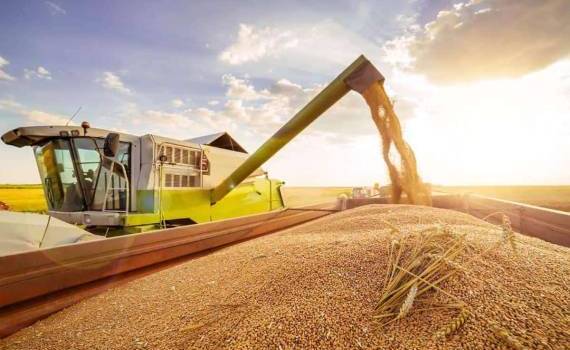 Пошлина на экспорт пшеницы из России снизится до минимума с 2021 года - agroexpert.md