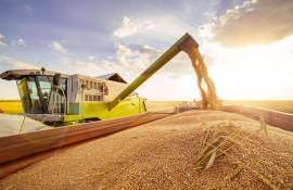 Пошлина на экспорт пшеницы из России снизится до минимума с 2021 года - agroexpert.md