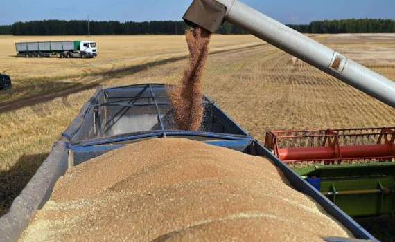 Россия не удержит в этом сезоне долю в четверть мирового рынка зерна - agroexpert.md