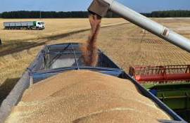 Россия не удержит в этом сезоне долю в четверть мирового рынка зерна - agroexpert.md