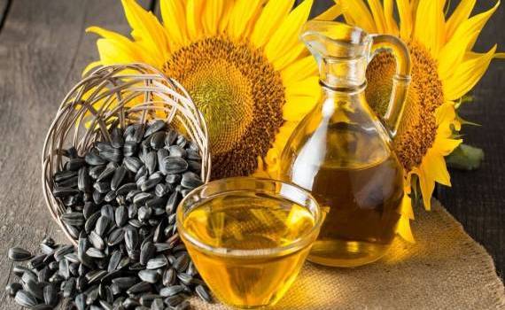 Trans-Oil va livra Egiptului 12.600 MT de ulei de floarea soarelui - agroexpert.md