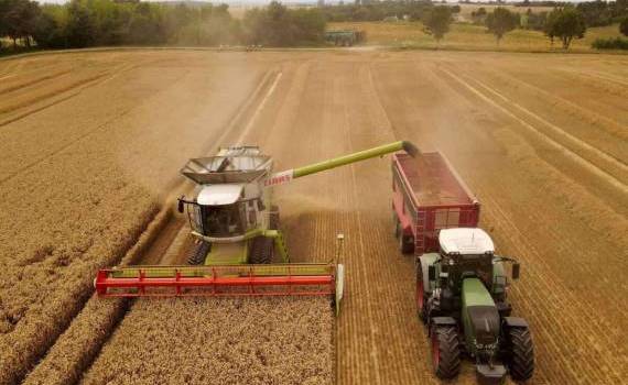Аналитики ожидают самый низкий урожай пшеницы в ЕС за последние 6 лет - agroexpert.md