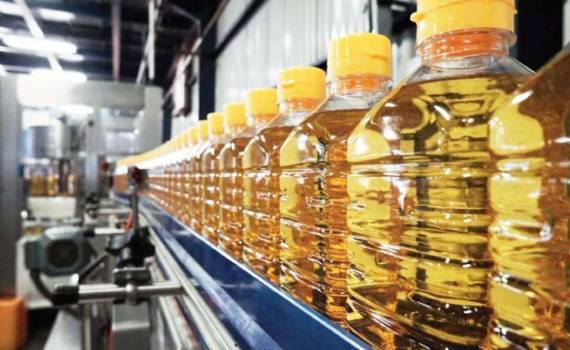 В РФ прогнозируется рост производства подсолнечного масла на 16-17% - agroexpert.md