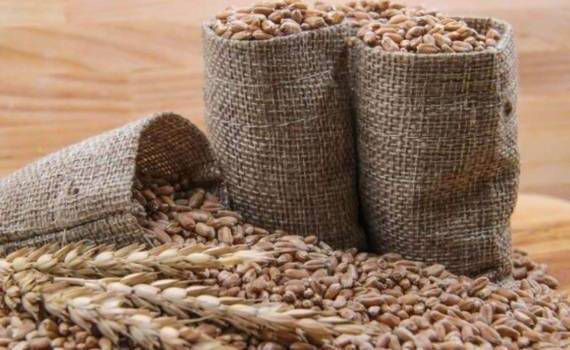Индия потеряла позицию ключевого поставщика зерна на мировом рынке - agroexpert.md