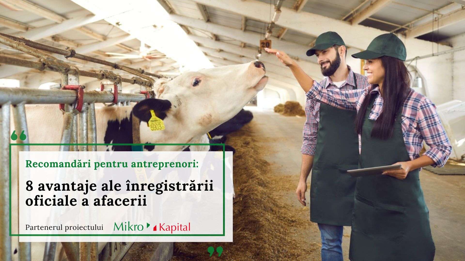 8 avantaje ale înregistrării oficiale a afacerii pentru fermieri - agroexpert.md