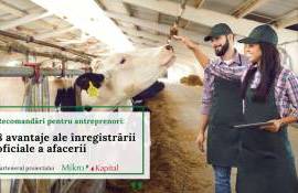 8 avantaje ale înregistrării oficiale a afacerii pentru fermieri - agroexpert.md