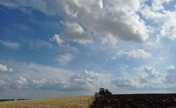 Какую выбрать обработку почвы под посев озимых после занятых паров - agroexpert.md