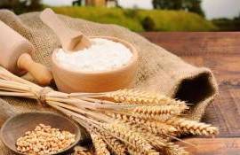На фоне проблем с качеством своего зерна Европейцы ищут альтернативу - agroexpert.md