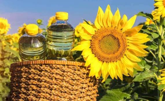 Текущие цены на подсолнечник в Украине делают его переработку невыгодной - agroexpert.md