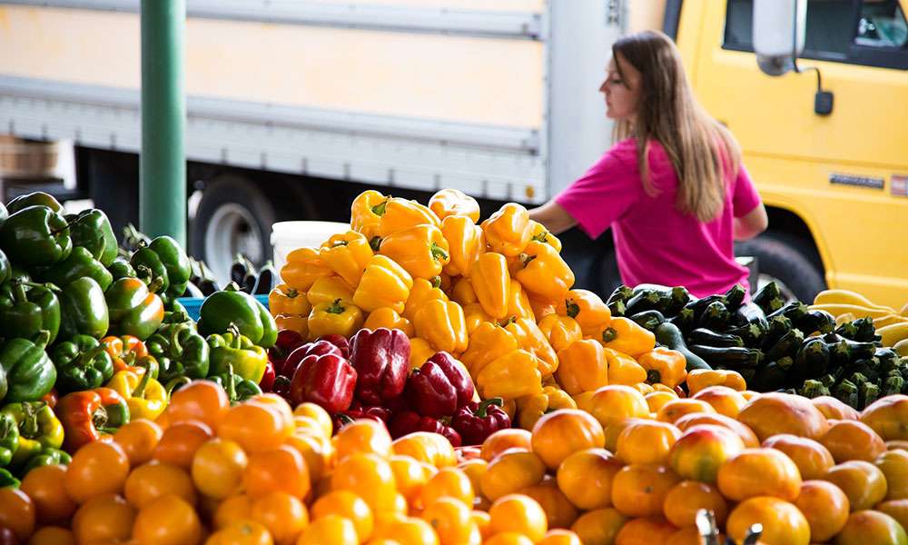 De la boom la declin: Cum a evoluat producția agricolă în ultimele decenii - agroexpert.md