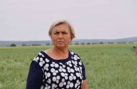 Ala Popa produce legume. Cum și-a început afacerea în agricultură - agroexpert.md