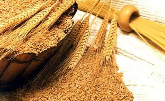 Аналитический отчет по молдавскому экспорту/импорту твердой пшеницы - agroexpert.md