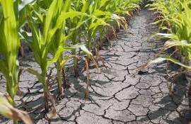 Сколько дождевой влаги впитывают сухие почвы разных типов - agroexpert.md