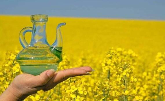 Цены на рапсовое масло резко вырастут по всей Европе - мнение экспертов - agroexpert.md