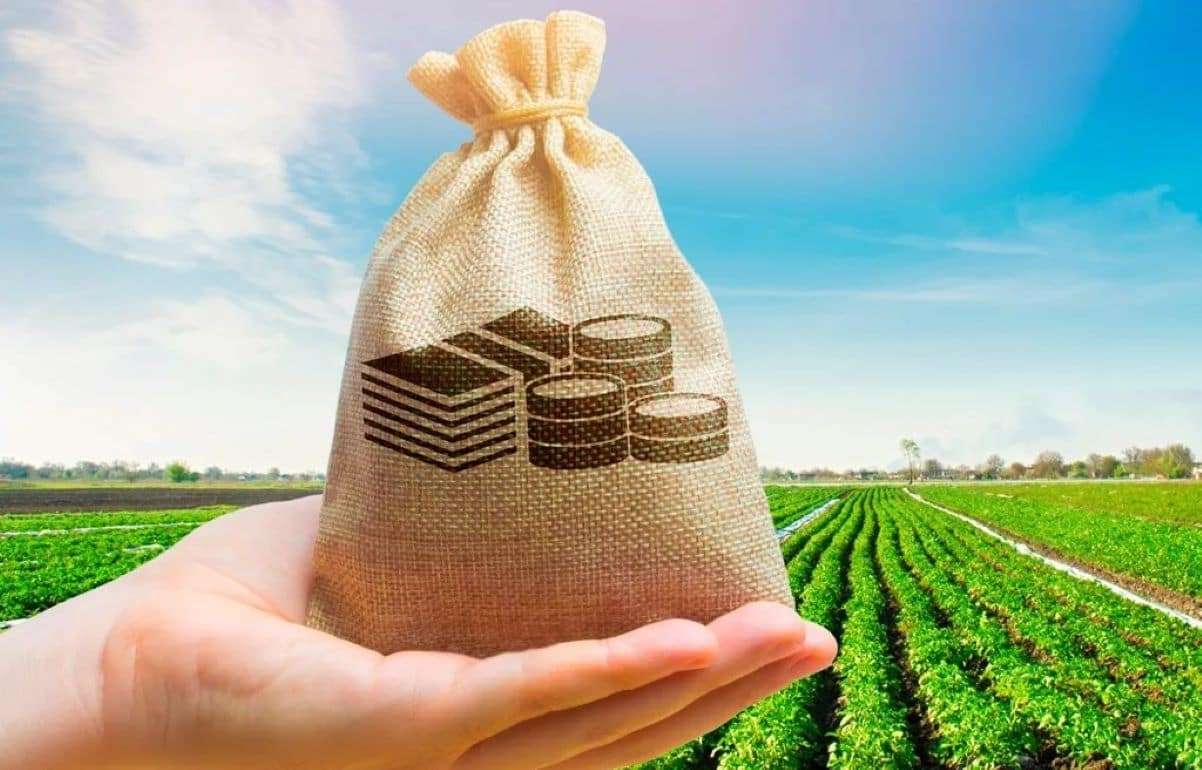 Турция утвердила новую модель господдержки в растениеводстве - agroexpert.md