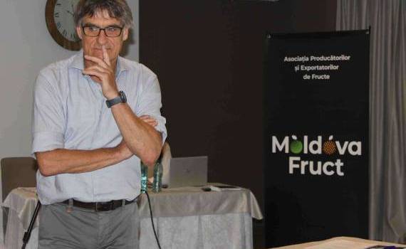 Îmbunătățirea exportului de fructe: Recomandările expertului Fred Jenssen - agroexpert.md