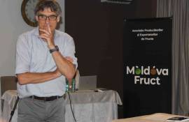 Îmbunătățirea exportului de fructe: Recomandările expertului Fred Jenssen - agroexpert.md