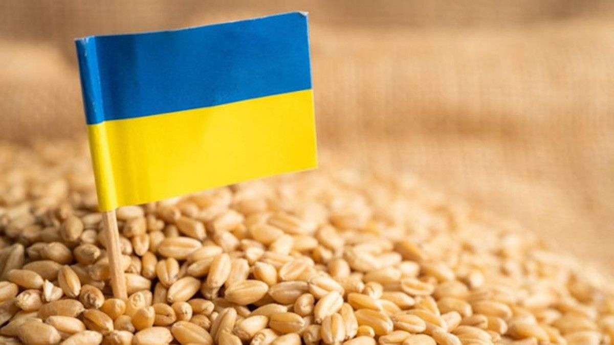 Ucraina va limita exporturile de grâu în 2024/2025 - agroexpert.md