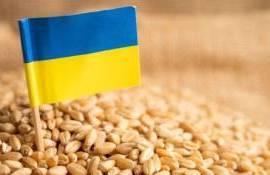 Ucraina va limita exporturile de grâu în 2024/2025 - agroexpert.md