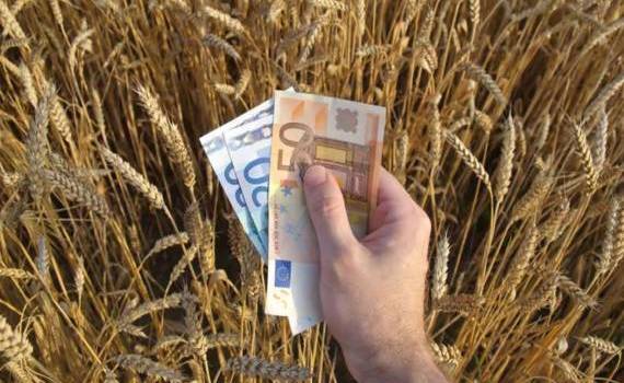 ЕС из-за протестов фермеров изменит порядок выделения сельхоз субсидий - agroexpert.md