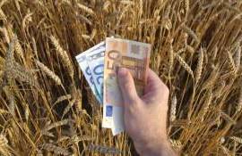 ЕС из-за протестов фермеров изменит порядок выделения сельхоз субсидий - agroexpert.md
