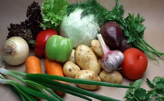 Овощи в РМ: импорт – не всегда плохо, экспорт – не всегда хорошо - agroexpert.md